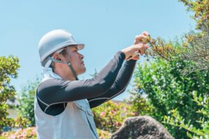群馬県・埼玉県でおすすめの業者として紹介されました