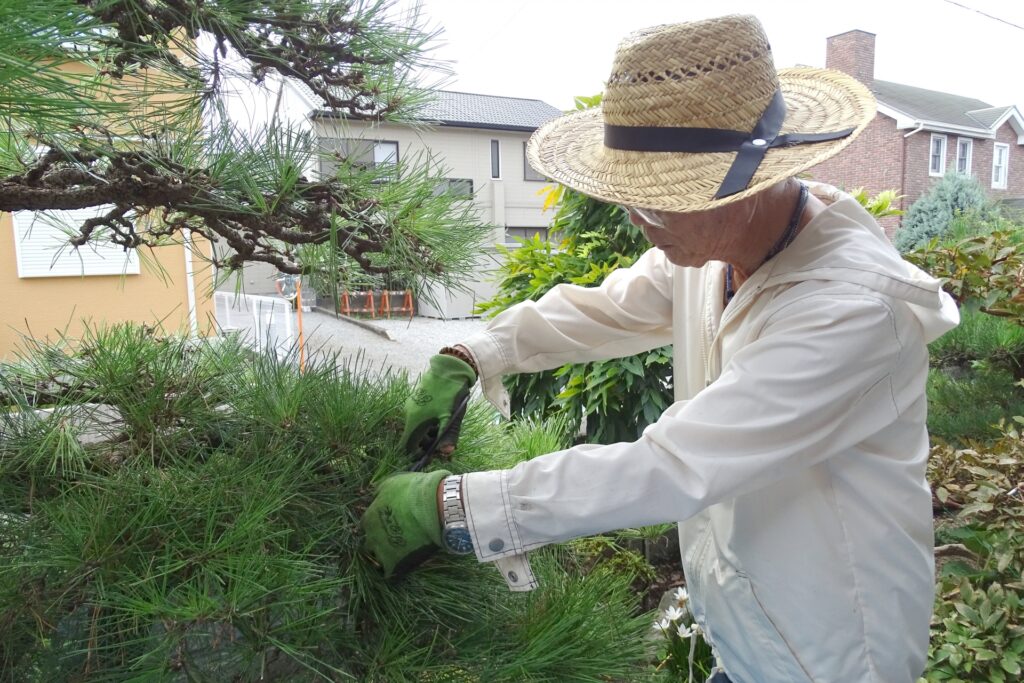 庭木の剪定が必要な理由