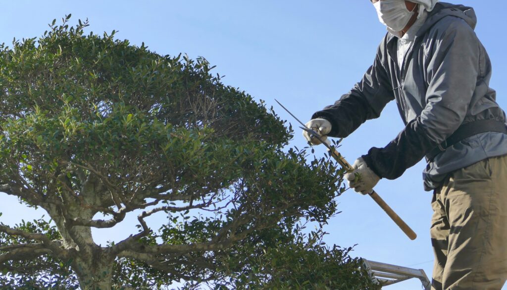熊谷市で植木屋への依頼が増えやすいケース