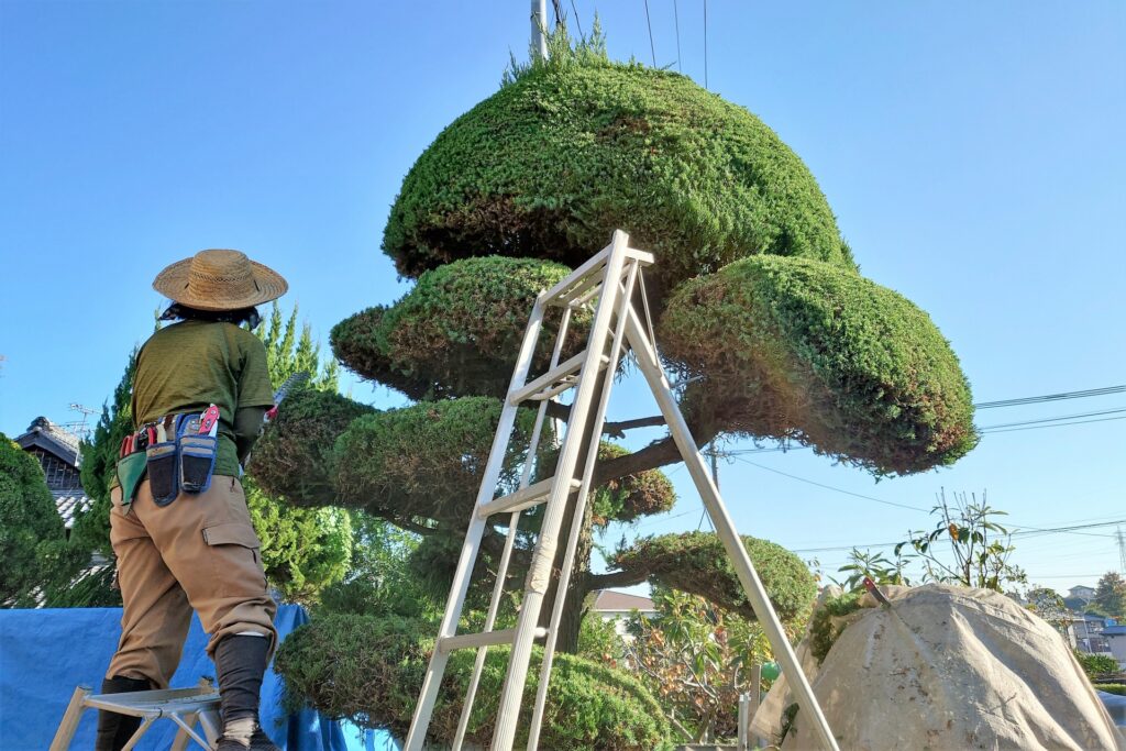 熊谷市で植木屋に依頼できる主な作業