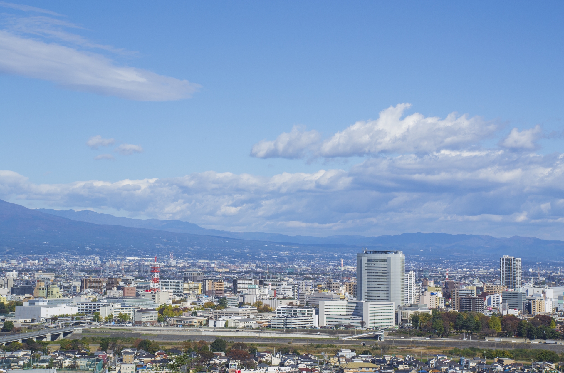 高崎市で植木屋をお探しの方へ｜庭木の手入れ・剪定・伐採を依頼するポイント
