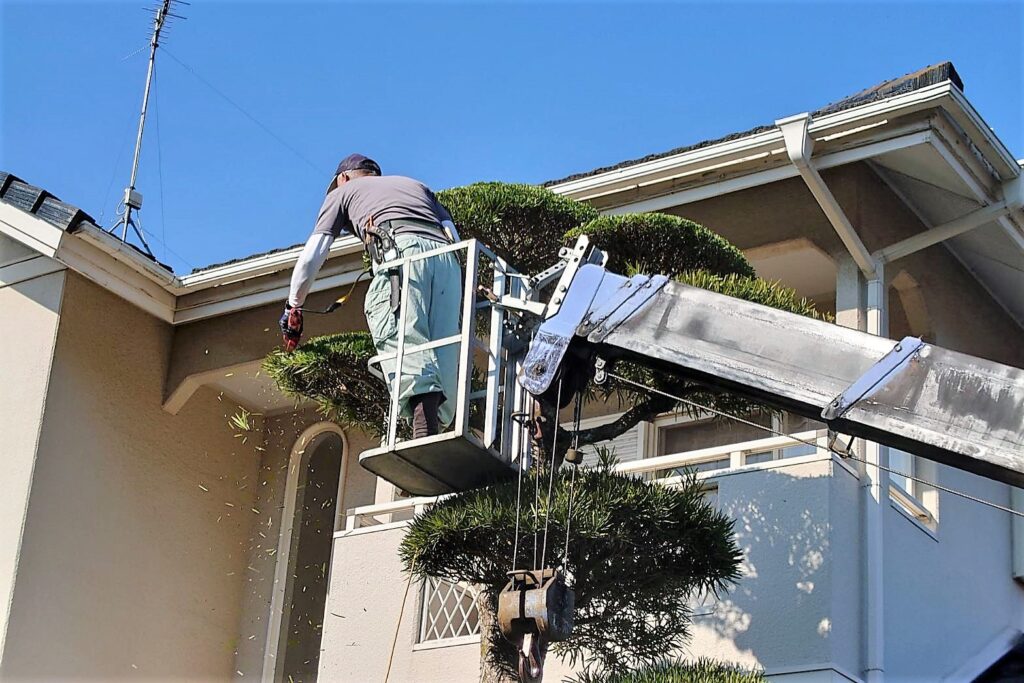 高崎市で植木屋を選ぶ前に確認したいこと