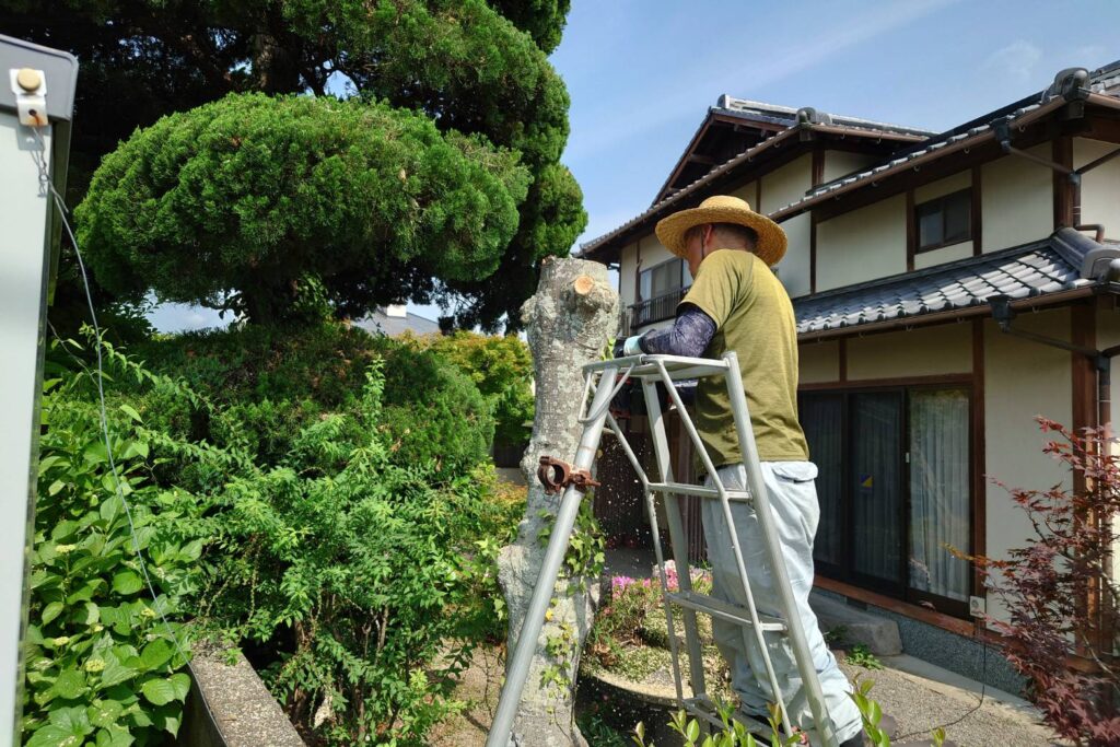 高崎市で植木屋に相談する前の準備