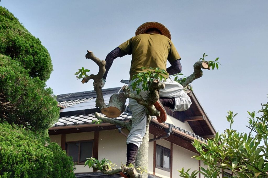 高崎市で植木屋に相談されやすい庭の悩み