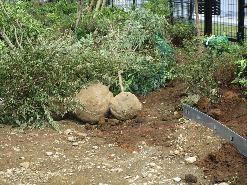 庭木剪定を相談する前に準備しておくこと