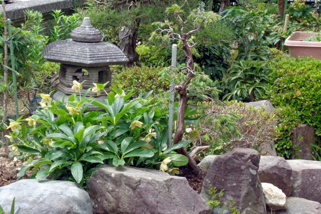 高崎市で植木屋に依頼するメリット