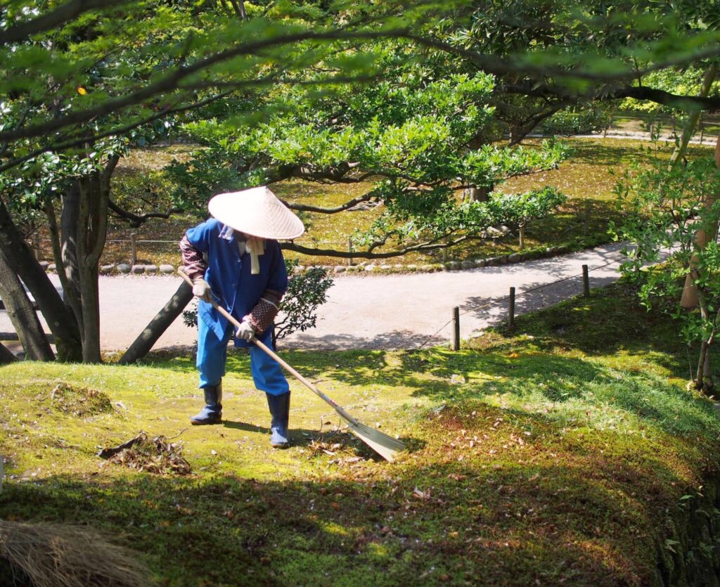 植木屋に依頼できる主な作業内容