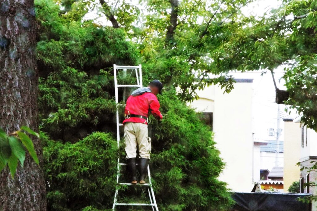 高崎市の植木屋に関するよくある質問