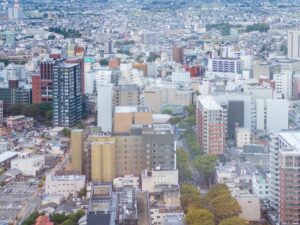前橋市で植木屋をお探しの方へ｜庭木の剪定・伐採・草刈りの相談先を解説