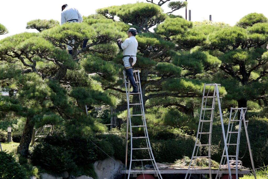 前橋市の植木屋に関するよくある質問