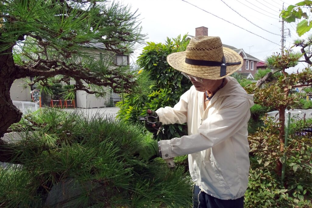 植木屋に依頼するか自分で作業するかの判断基準
